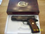 Colt - 9 of 11