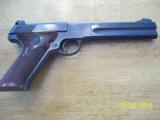 Colt - 2 of 8