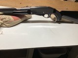 REMINGTON NYLON 76 .22LR - 11 of 13