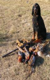 John Manton - 6 of 6