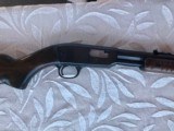 Winchester
model 61 22 short - 3 of 15