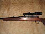 Winchester Model 70 Pre 64 375HH Mag 25” barrel - 6 of 13