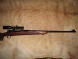 Winchester Model 70 Pre 64 375HH Mag 25” barrel - 8 of 13