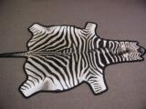 BURCHELL’S ZEBRA SKIN – Grade A+ Quality-01 - 5 of 5