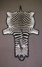 BURCHELL’S ZEBRA SKIN – Grade A+ Quality-01 - 1 of 5