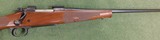 Winchester 70 fwt
223 wssm - 4 of 9