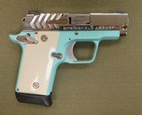 Springfield Armory 911 380 acp - 1 of 2