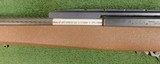 Ruger 10/22 custom - 5 of 6