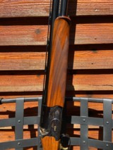 Caesar Guerini, Summit Limited Sporting, 12 Gauge - 7 of 11