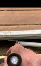 Colt Lightning Medium Frame 44 in Great shape with Great Bore - 11 of 12