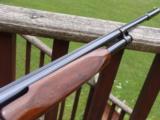 Winchester Model 42 Skeet Solid Rib 1940 Beauty - 3 of 15