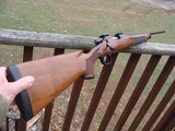 Remington Model 700 Mountain Rifle 243 Very Good To Excellent Condition. - 2 of 10