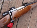 Winchester Model 70 Deluxe Vintage Varminter 222 Med Wt Varmint Beauty As New RARE 1969 - 4 of 10