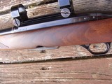 Winchester Model 100 .308 Ex. Cond. 1967 New Haven Ct Made Fine Woods Rifle - 3 of 8