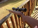 Ruger 10/22 Magnum: Quite rare and hard to find. Near New Condition - 2 of 6
