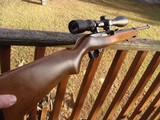 Ruger 10/22 Magnum: Quite rare and hard to find. Near New Condition - 3 of 6