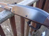Remington Nylon 66 - 12 of 15