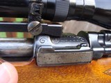Custom Mauser Elegant Engraved With Hensoldt Scope 257 Roberts Bargain - 11 of 18