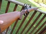 Winchester Classic Featherweight Real New Haven Made 243 As New Bargain - 3 of 9