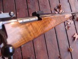 Weatherby Mark V Stunning Wood Somewhat rare #2 Med Contour Barrel Nicer Than Any We've Seen - 6 of 7