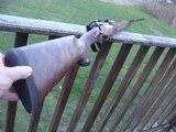 Winchester Model 70 Supergrade 338 Winchester As New Test Fired Only - 1 of 17