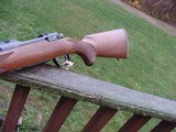 Ruger 77 Hawkeye Compact Rare in 7.62 x 39 As New Condition Walnut / Blue - 9 of 11