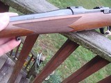 Ruger 77 Hawkeye Compact Rare in 7.62 x 39 As New Condition Walnut / Blue - 10 of 11