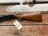 Winchester Model 50 20 ga Beauty Not Often Found In 20 Ga Bargain Price 1960 C&R OK - 15 of 20