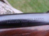 Winchester Model 50 20 ga Beauty Not Often Found In 20 Ga Bargain Price 1960 C&R OK - 16 of 20