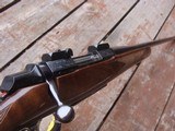 Browning A bolt Medallion 284 - 9 of 14