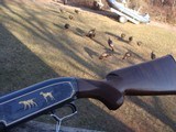 Winchester Model 12 High Grade 20 ga Near New Beautiful Gun - 13 of 15