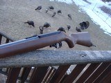 Ruger 10/22 Compact
Youth Wood Stock Blue AS NEW CONDITION - 2 of 9