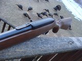Ruger 10/22 Compact
Youth Wood Stock Blue AS NEW CONDITION - 3 of 9