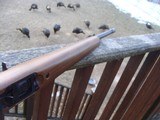 Ruger 10/22 Compact
Youth Wood Stock Blue AS NEW CONDITION - 6 of 9