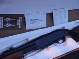 Remington 7600 NEW IN BOX 1995 243 COLLECTOR - 11 of 12