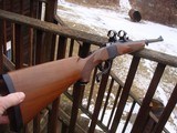 Ruger # 1 45-70 Medium Sporter (looks like Tropical) with Rings and Sights Beauty - 2 of 9