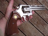 Colt Python 1981 Bright Nickel Stunning Near New With Papers This Gun Is Spectacular - 3 of 14