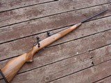 Mauser Model 99 Same As Sauer 90 New Condition Classic European Beauty 300 Weatherby Mag - 1 of 15