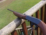 Browning SA-22 22 Semi Auto Take Down Beauty at a Bargain Price. - 2 of 11
