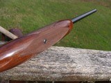 Browning SA-22 22 Semi Auto Take Down Beauty at a Bargain Price. - 10 of 11