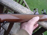 Browning Model 78 6mm Rem Hard To Find Beauty As New Stunning. Fantastic Wood Oct Barrel. Deer Or Varmint - 10 of 11