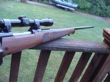 Winchester Model 70 Featherweight XTR 257 Roberts
As New Beauty Rare In This Cal. A real New Haven Ct Winchester - 7 of 10