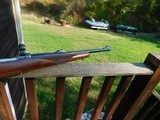 Ruger Model 77 Carbine 358 Near New Condition Very Rare Only 500 Made * - 5 of 9