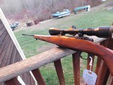 Ruger 77 257 Roberts Vintage 1985 Beauty Hard Find In This Caliber - 3 of 8
