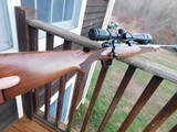 Winchester Model 70 Carbine As or Near New Cond. 243 Terrific For A Young Or New Shooter - 1 of 12