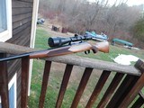 Winchester Model 70 Carbine As or Near New Cond. 243 Terrific For A Young Or New Shooter - 2 of 12