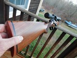 Winchester Model 70 Carbine As or Near New Cond. 243 Terrific For A Young Or New Shooter - 4 of 12