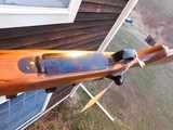 Winchester Model 70 Varmint Vintage 1966 Pretty Nearly As New 225 Winchester - 11 of 14
