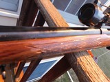 Winchester Model 70 Varmint Vintage 1966 Pretty Nearly As New 225 Winchester - 7 of 14