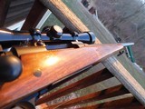 Winchester Model 70 Varmint Vintage 1966 Pretty Nearly As New 225 Winchester - 6 of 14